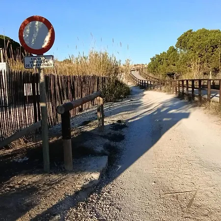 Alicante Atico Sol Y Mar Vista Piscina Y Mar דירה *