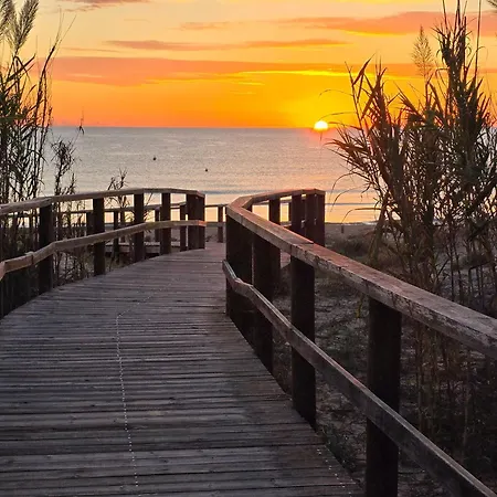 Alicante Atico Sol Y Mar Vista Piscina Y Mar * ארנאלס דל סול